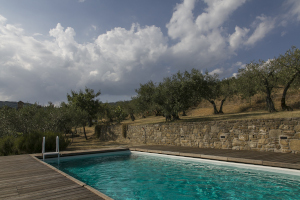 The original pre-casted over ground pool has been succesfully integrated in the original splendid olive grove