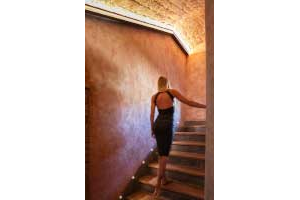 Vaulted ceiling built with antique bricks and solid one piece <i>cotto</i> steps