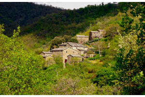 Nestled in the hills around the medieval town of Cortona…