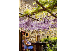 One of the <i>pergola</i> covered with wisteria