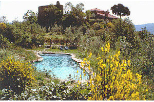 I carved the pool amongst the stones of the olive terraces… Not to be seen (unless from a drone…). A corner of piece and quiet, immersed in Nature and history