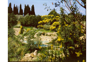 … If you cast your eyes…, you can see the pool there…
