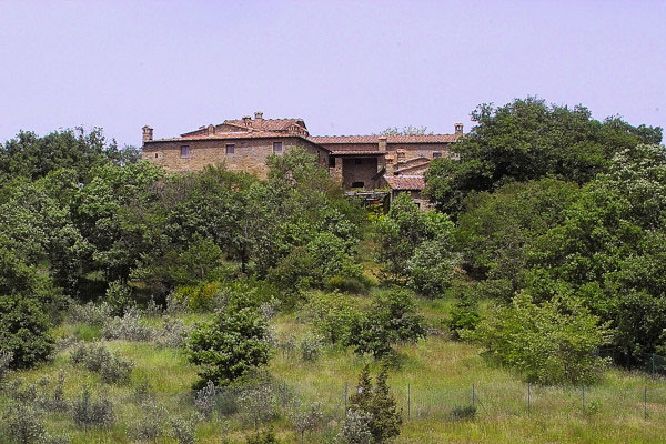 Carbonaia