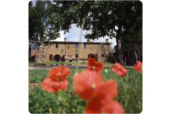 Renaiolo
