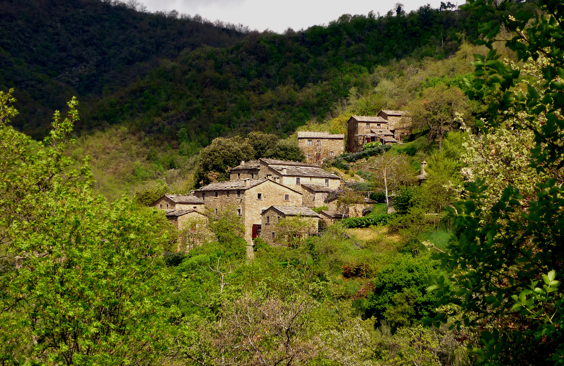 Fulvio Di Rosa: Borgo di Vagli from Mercatale road