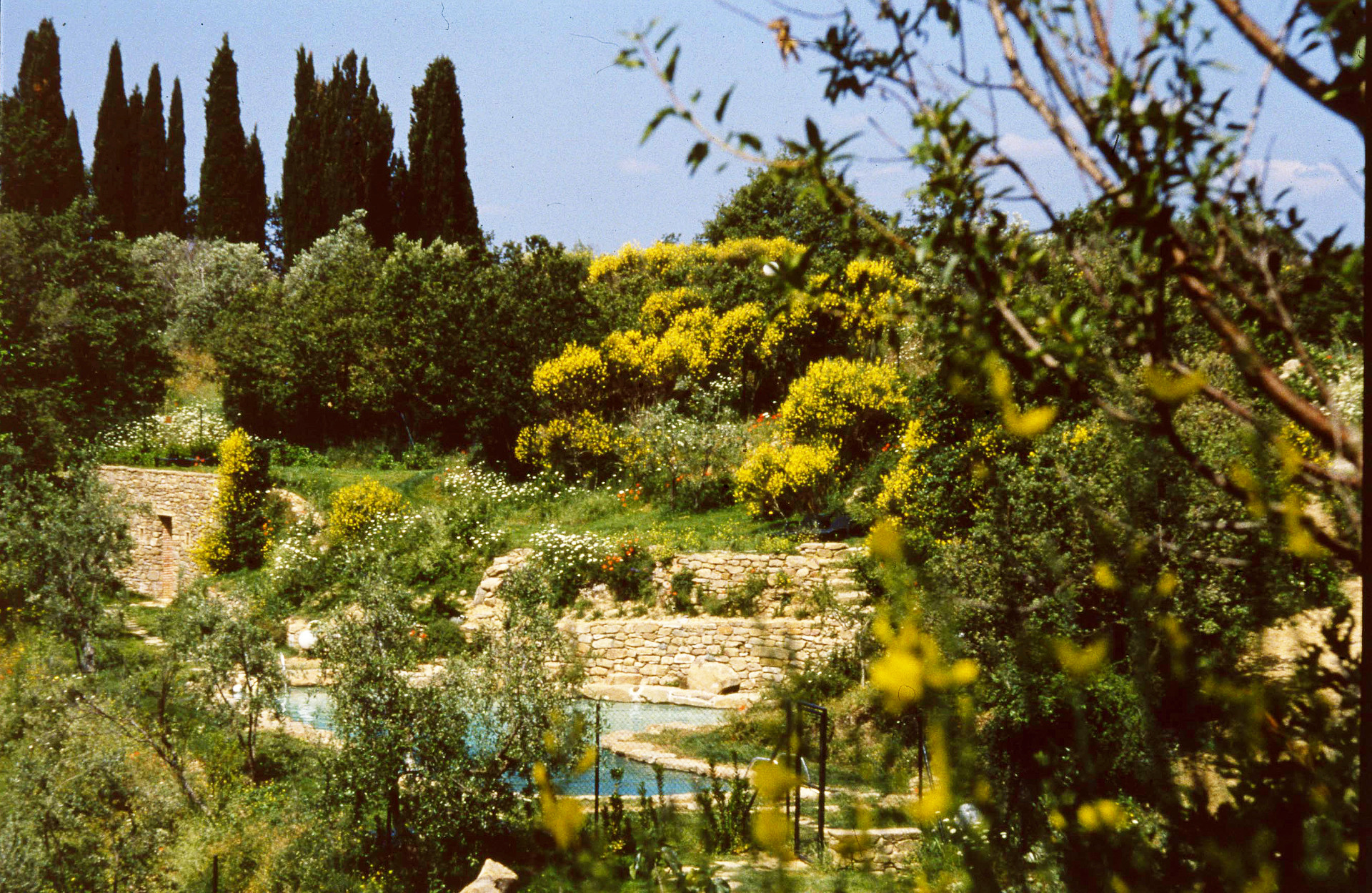 Fulvio Di Rosa: In the garden of Borgo di Sogna